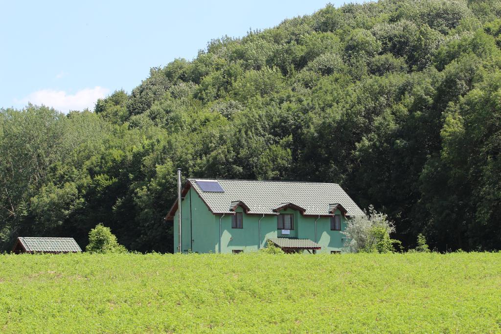 Agropensiunea Cetatuia Luncavita エクステリア 写真